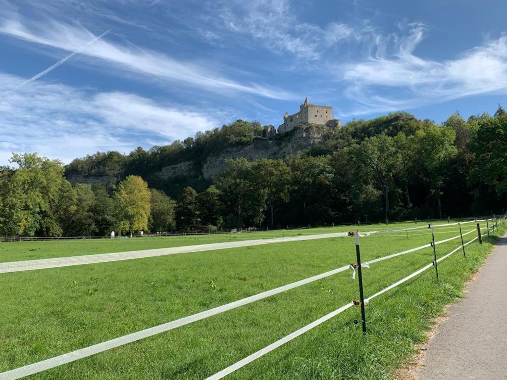 Hotel Garni Zum Rebstock Naumburg  Eksteriør billede