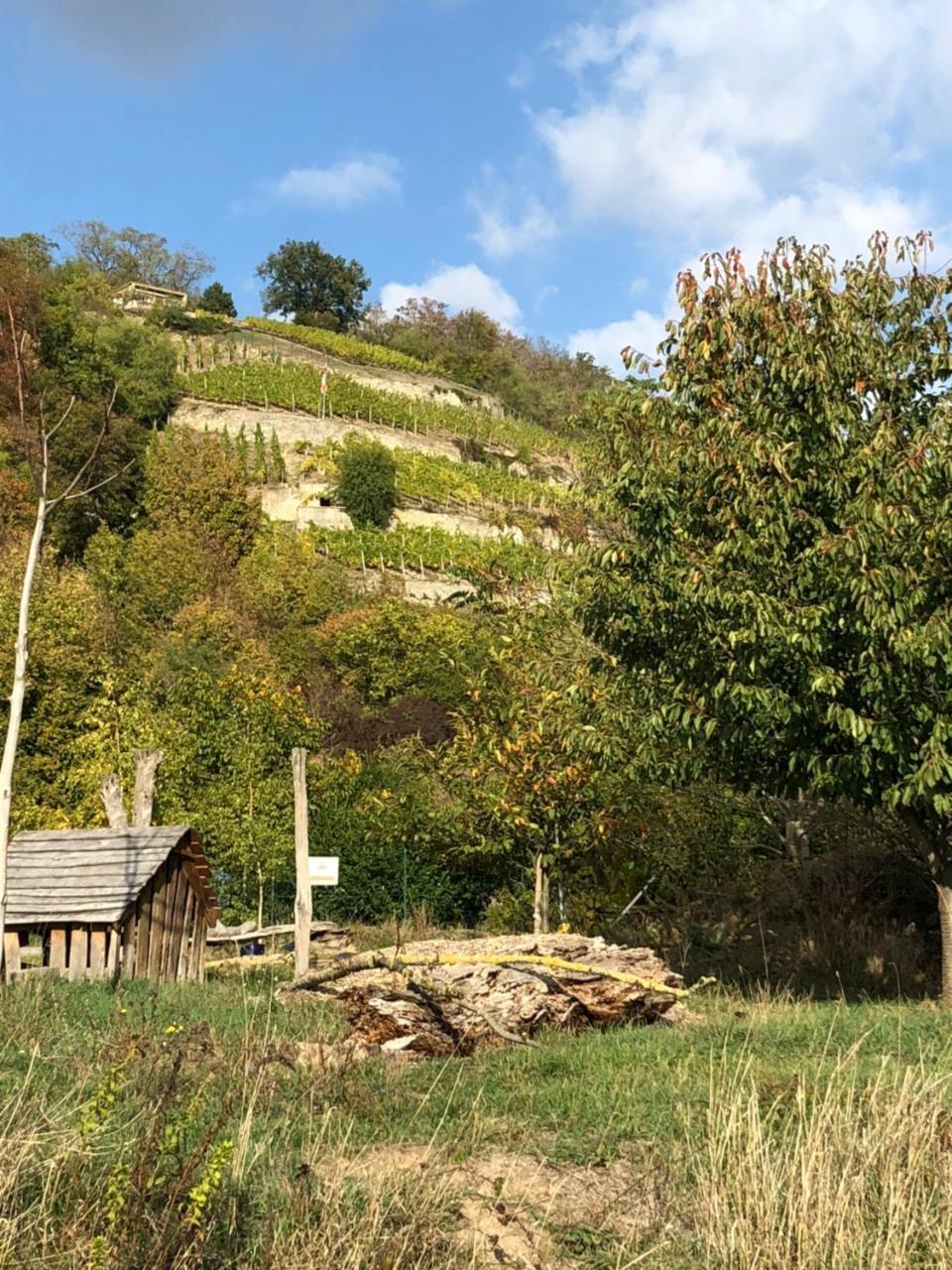 Hotel Garni Zum Rebstock Naumburg  Eksteriør billede